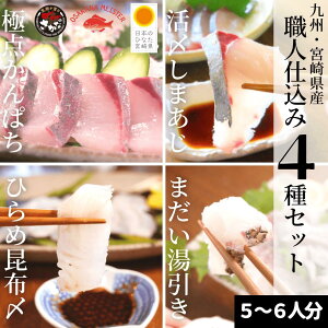 かんぱち 魚の通販 価格比較 価格 Com
