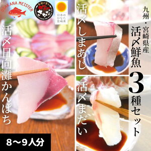 かんぱち 魚の通販 価格比較 価格 Com