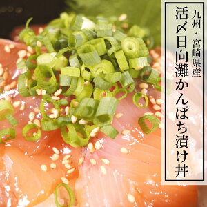 かんぱち 魚の通販 価格比較 価格 Com
