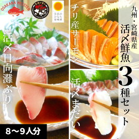 楽天市場 鮮魚 ブリの通販