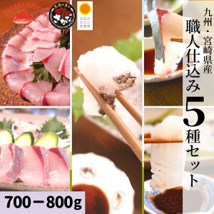 ヒラメ 魚の人気商品 通販 価格比較 価格 Com