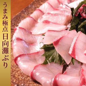 ハマチ 魚の人気商品 通販 価格比較 価格 Com ハマチ 魚の人気商品 通販 価格比較 価格 Com