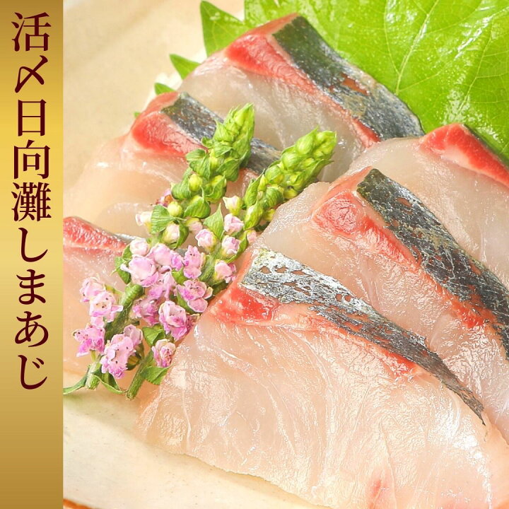 楽天市場 3 1 火 24時間限り 最大2 000円off ポイント５倍 しまあじ 鯵 刺身 縞鯵 冷蔵 柵 バレンタイン 母の日 父の日 敬老の日 ギフト おつまみ 海鮮 切るだけ 活〆日向灘しまあじ 食べきりパック 宮崎 うまい刺身専門店 請関水産