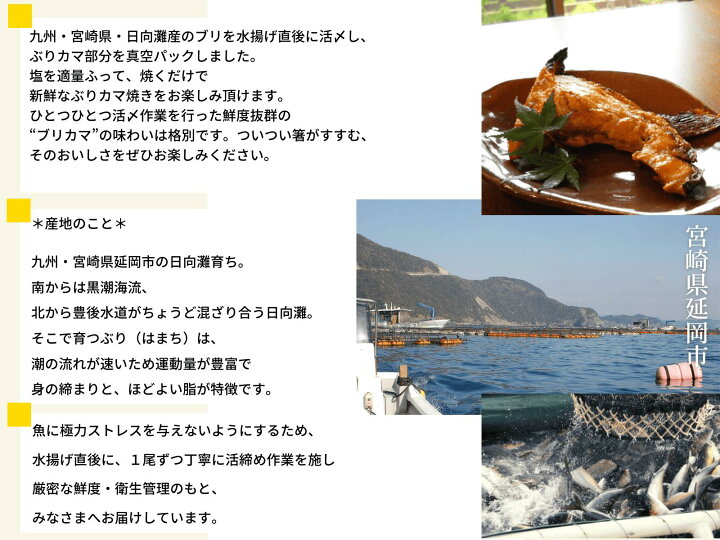 楽天市場 8 1 月 店内最大50 Offクーポンセール開催 焼き魚 刺身 ブリカマ 冷凍 冷蔵 焼き魚 塩焼き 煮付け ブリかま ４食分 冷蔵 冷凍 活〆日向灘ぶり はまち 九州宮崎県延岡産 宮崎 うまい刺身専門店 請関水産