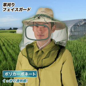 tFCXV[h tFCXK[h t^Cv nbgʔ hlbg  @ G-800