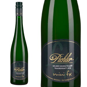 F.X.sq[ Qo[XJe[[ gExTtg 2023 (ԂǂW[X) I[XgAō􃏃Ci[郏CpuhEW[X