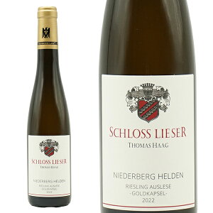 yn[tTCYz[U[ j[_[xN wf AEX[[ SgJvZ 2022 oi @CO[g VX [U[l