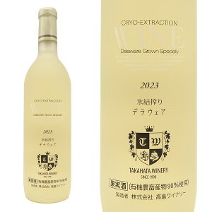  X fEFA Be[W 2024 YL@͔| fEFA100% `@ Ci[l  ɊÌ