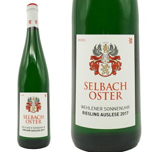 Fi[ ]lE[A AEX[[ 2017 oi [obn IX^[ƌl ώ40VṼ[XO100  Ì