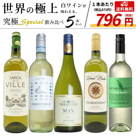 うきうき厳選 世界の白ワインが味わえる 極上辛口白ワイン スペシャル飲み比べ5本セット【55弾】 （送料無料ワインセット）