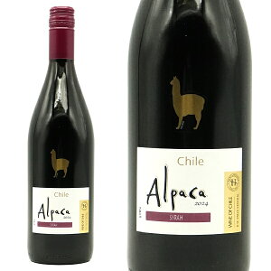 �T���^�E�w���i �A���p�J�E�V���[