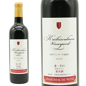 C B[h xE 2024 R` n}XJbgx[[A100gp ԃC ~fBA{fB h {C