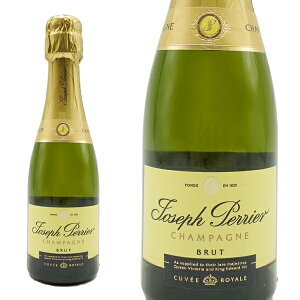 y~jTCYzWZt yG Vp[j ubg LF C AOCVp[j K㗝XAi 200ml sbRTCY