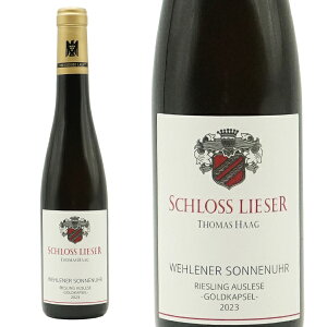 yn[tTCYzFi[ ]lE[A [XO AEX[[ SgJvZ 2023 oi VX [U[l  ɊÌ