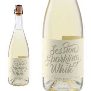 ZbV Xp[NO zCg NV rO [c A.V.AtBK[ CNX h  AR[9.1  h