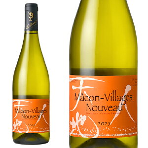 yV 2025z}R B[W k[H[  2025 ʌi [ f q