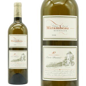 Vg[ gD[ h ~{[ LF pbV u 2022 fXp[j(Vg[ yL)l