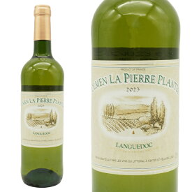 ドルメン ラ ピエール プランテ 2023 AOCコトー デュ ラングドック フランス 白ワイン ワイン 辛口 750ml