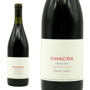 y׎攭z`N VNG^ C VR55 2023 o {fK `N(TbVJCA)l sm m[100 ELbv  h