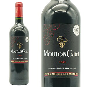 y׎攭z[gEJf [W 2022N oEtBbvEhE[gVg 750ml itX {h[ ԃCj