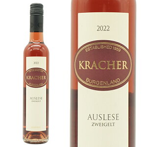 yn[tTCYzNbn[ AEX[[ c@CQg 2022 i ACX Nbn[ I[XgA ԃC Ì AR[x10%