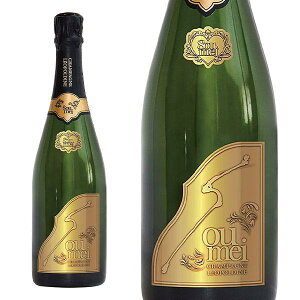 y Kiz\EC I|fB[k Vp[j ubg S[h AOCVp[j 750ml