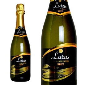 ラルス スプマンテ ブリュット チェヴィコ社 750ml （イタリア 白 スパークリングワイン） 家飲み 巣ごもり 応援