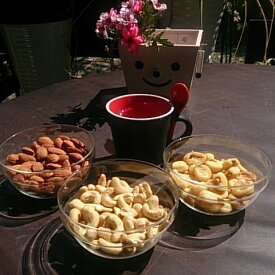 1000円ポッキリ送料無料人気のナッツセット送料無料ジャイアントコーン150g、カシューナッツ100g、アーモ100g