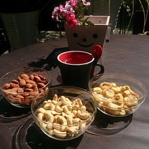 1000~|bLlC̃ibcZbgWCAgR[150gAJV[ibc100gAA[100g