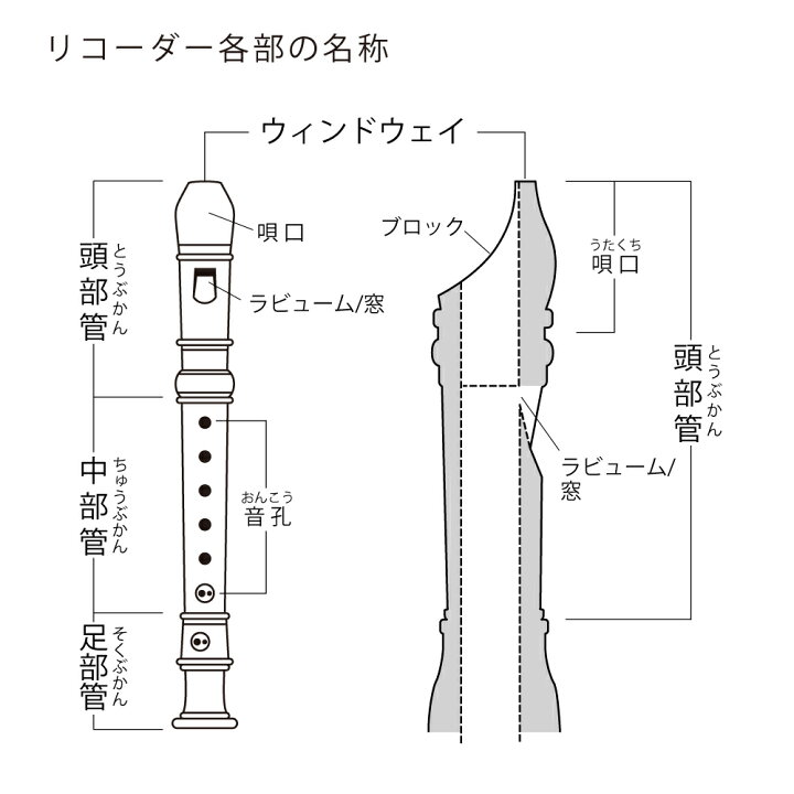 楽天市場 Footmark ソプラノリコーダー用シールド 音楽 授業 学校 合唱 コンクール 部活動 感染対策 飛沫防止 笛 フットマークオンラインショップ