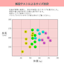 サイズ表目安