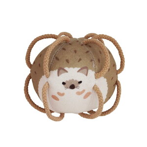 y|Cgz {[ ~j SHAOOL VI[  ǂԂ KK z t@[XggC v[g 0 1 2 lC  ǂ q qǂ LbY g VF[J[ 