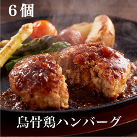 烏骨鶏のお肉で作ったハンバーグ　110g×6個セット（ソース付）　ギフト　ご褒美　贈答用　貴重　国産　烏骨鶏　冷凍　焼くだけ ハンバーグ