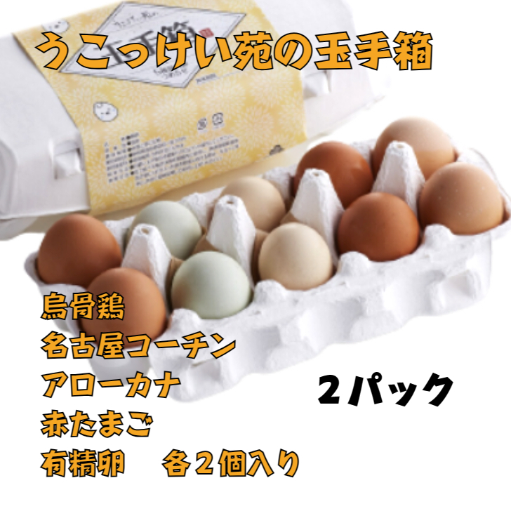 名古屋 卵の人気商品・通販・価格比較 - 価格.com