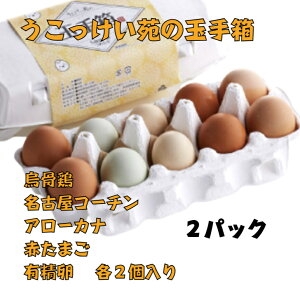 {̗ ʎ蔠 2pbN G{ G{@ÉR[` ÉR[`@A[Ji A[Ji@Ԃ܂@ԗ L@e1pbNɂ2