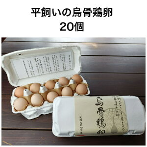  {̗ 20  蕨 Mtg v[g ÉY ܂  Ε  Y  G{ ERbPC