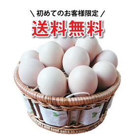 【烏骨鶏卵お試し】 【ご自宅用】 【初めての人限定】 【 送料無料 】 「 烏骨鶏の卵 」 産卵数が少ない本来の烏骨鶏たまご （うこっけい / ウコッケイ / タマゴ） お取り寄せ 通販 取り寄せ 高級 高級品 人気 おすすめ 品種改良していません 食用（孵化用ではありません）