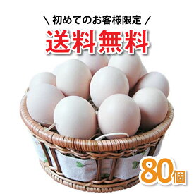 【初めての人限定】 【烏骨鶏卵お試し】 【 送料無料 】 【ご自宅用】 人気No1 「烏骨鶏の卵」 産卵数が少ない本来の烏骨鶏たまご （うこっけい / ウコッケイ / タマゴ） 烏骨鶏は品種改良していません 食用（孵化用ではありません）