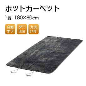 【お買い物マラソン4/24(水)20時～P10倍】ホットカーペット 1畳 本体 180×80cm 電気カーペット ダニ退治機能 電気マット 敷き シングル 6段階温度調節&タイマー機能付き 丸洗い可 省エネ 暖房 冬 足元暖房 頭寒足熱配線 均一加熱 PSE認証済み (グレー)