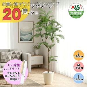 y}\ PO20{zG} Go[tbV tFCNO[ lHϗtA 120cm 160cm 180cm t CeA O[ ȒP