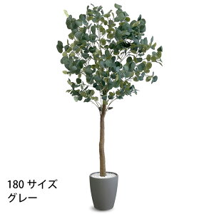 [J tFCNO[ lHϗtA 120cm 150cm 180cm t CeA O[ ȒP