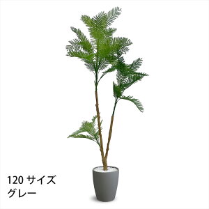 yyV}\ PO20{zGo[tbV tFCNO[ lHϗtA 120cm 160cm 180cm t CeA O[ ȒP