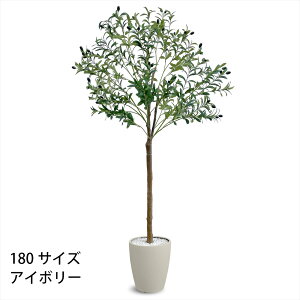 yyV}\ PO20{zI[u tFCNO[ lHϗtA 120cm 150cm 180cm t CeA O[ ȒP