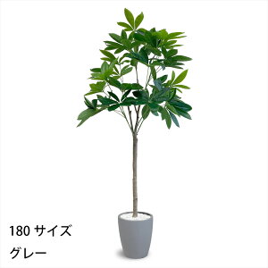 pL tFCNO[ lHϗtA 120cm 150cm 180cm t CeA O[ ȒP
