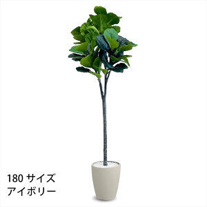 tBJX[^ tFCNO[ lHϗtA 120cm 150cm 180cm t CeA O[ ȒP