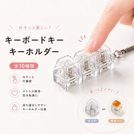 【期間限定10％OFF！】 キーボード風 キーキャップ キーホルダー 透明 クリア メカニカル風 焼きパン 押せる ボタン付き 解圧グッズ ストレス解消 ミニキーボード 軽量 コンパクト 持ち運び おもちゃ バッグチャーム かわいい おしゃれ プレゼント ギフト 人気 韓国 ギフト