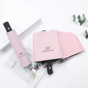 P ^b` ܂肽 SՌ J P y 킸350g t܂莮 ܂ݎP 8{ uvJbg O΍ Ă΍ Y fB[X vbV y 肽ݎP J