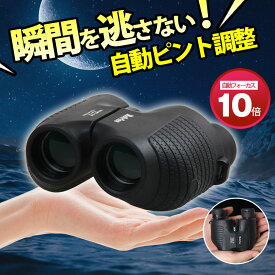 【〜4/16まで P5倍＋限定クーポン】双眼鏡 コンサート オペラグラス オートフォーカス 軽量 高倍率 ライブ 10倍 ヒント不要 フリーフォーカス 防水 25口径 スポーツ 観戦 ドーム