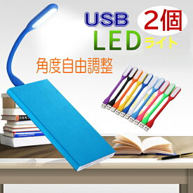 【選べる USB ライト 2個セット】 USBライト USBランプ USB オフィス パソコン ノートパソコン モバイルバッテリー 車用 ライト ランプ ミニランプ ミニライト 小型 軽量 小さい 軽い 曲がる 読書 携帯用 持ち運び用 贈り物 プチギフト 誕生日 プレゼント