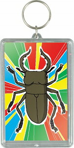 A[ebN ArTec ^b`NAL[z_[ ( v[gNAJ[hP[X ) Lbg  HLbg  RH nhCh hV̓ qp NA Ntg }H 